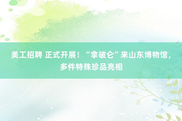 美工招聘 正式开展！“拿破仑”来山东博物馆，多件特殊珍品亮相